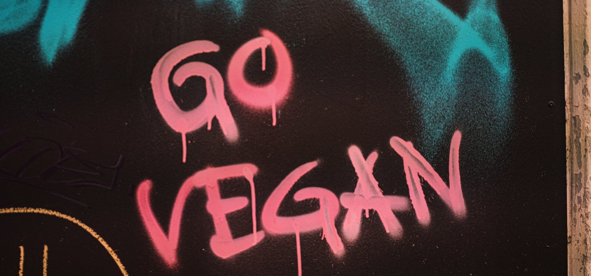 Go Vegan | © Foto von <a href="https://unsplash.com/de/@purzlbaum?utm_content=creditCopyText&utm_medium=referral&utm_source=unsplash">Claudio Schwarz</a> auf <a href="https://unsplash.com/de/fotos/rot-weisser-liebestext-FoVrVBxEefU?utm_content=creditCopyText&utm_medium=referral&utm_source=unsplash">Unsplash</a>   